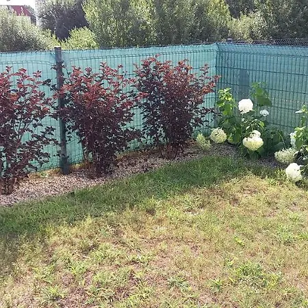 Kuracyjny Zakatek 2 Apartamento *