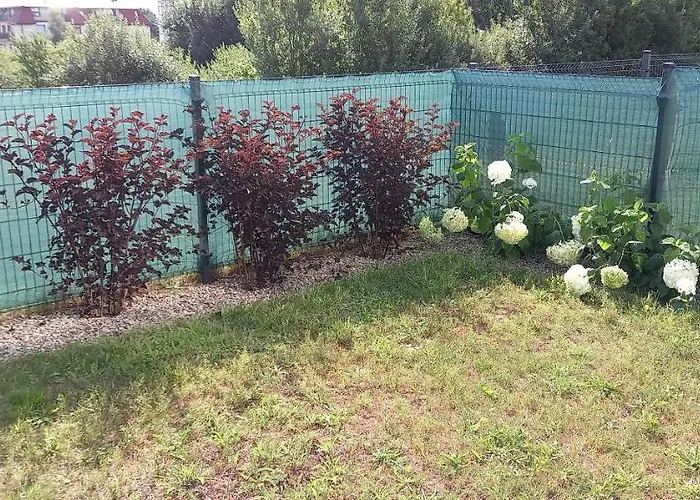 Kuracyjny Zakątek 2 Apartament *